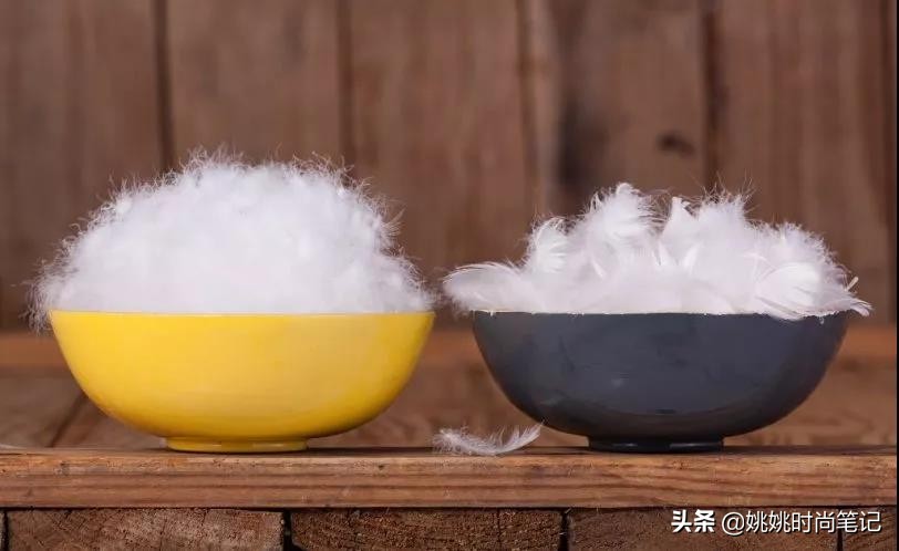 鹅绒的专业知识,羽绒知识的专业讲解