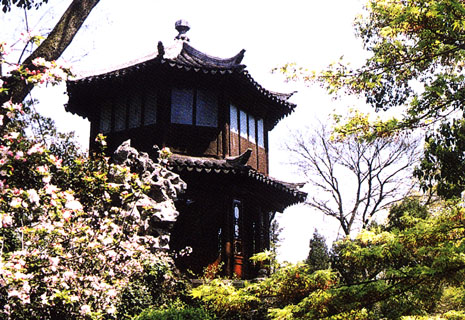 拙政园天下园林之母,苏州园林拙政园攻略