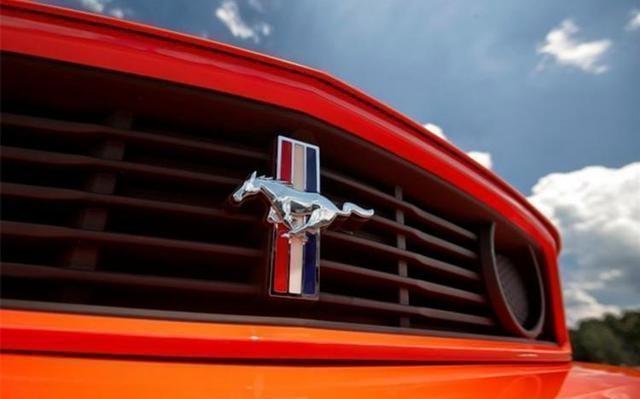 用马姓做的logo,用马做标志的车标