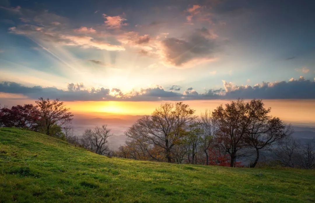 写秋诗四首大全,十首写秋杰出诗词钟爱哪一首