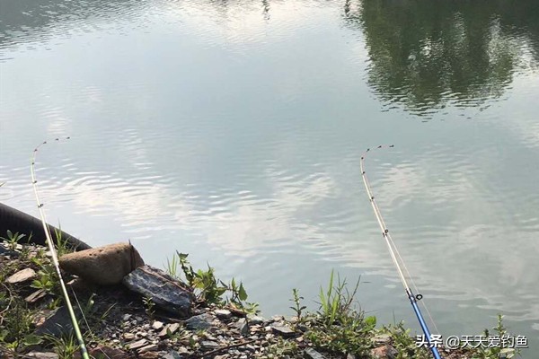 冬季手竿野钓的十个小技巧,过了冬至天怎么钓鱼