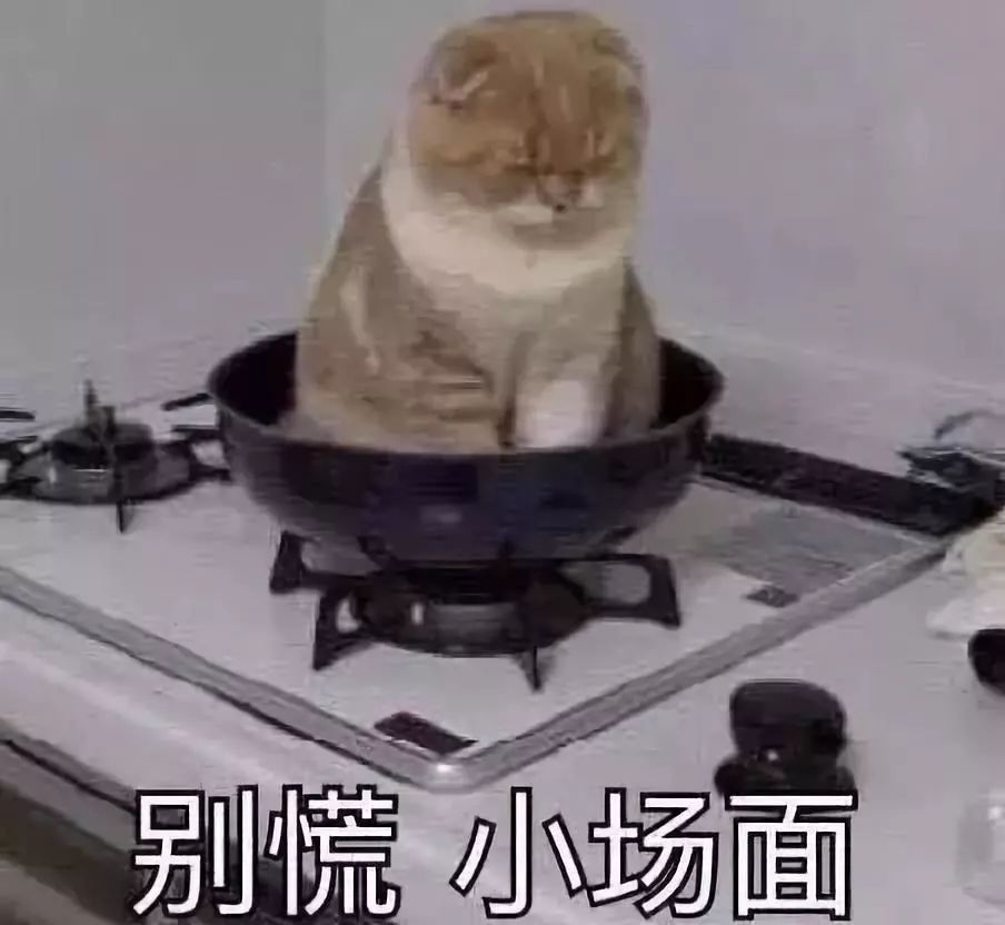 明星购物福利秒杀款,明星捡漏大赏完整视频