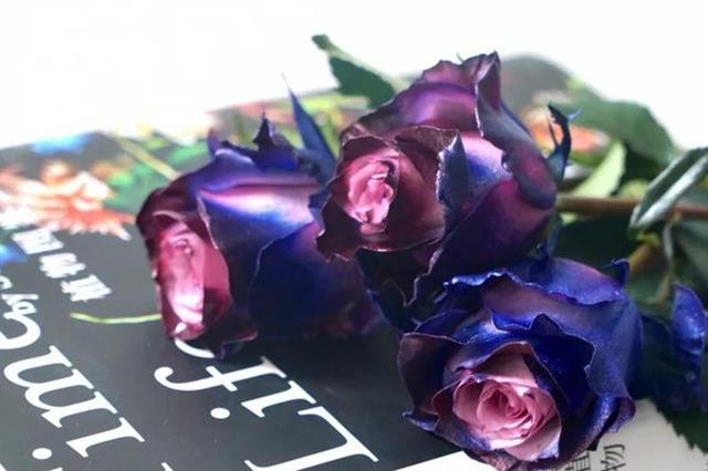 值得入手的玫瑰花,最受欢迎的玫瑰花品种排行