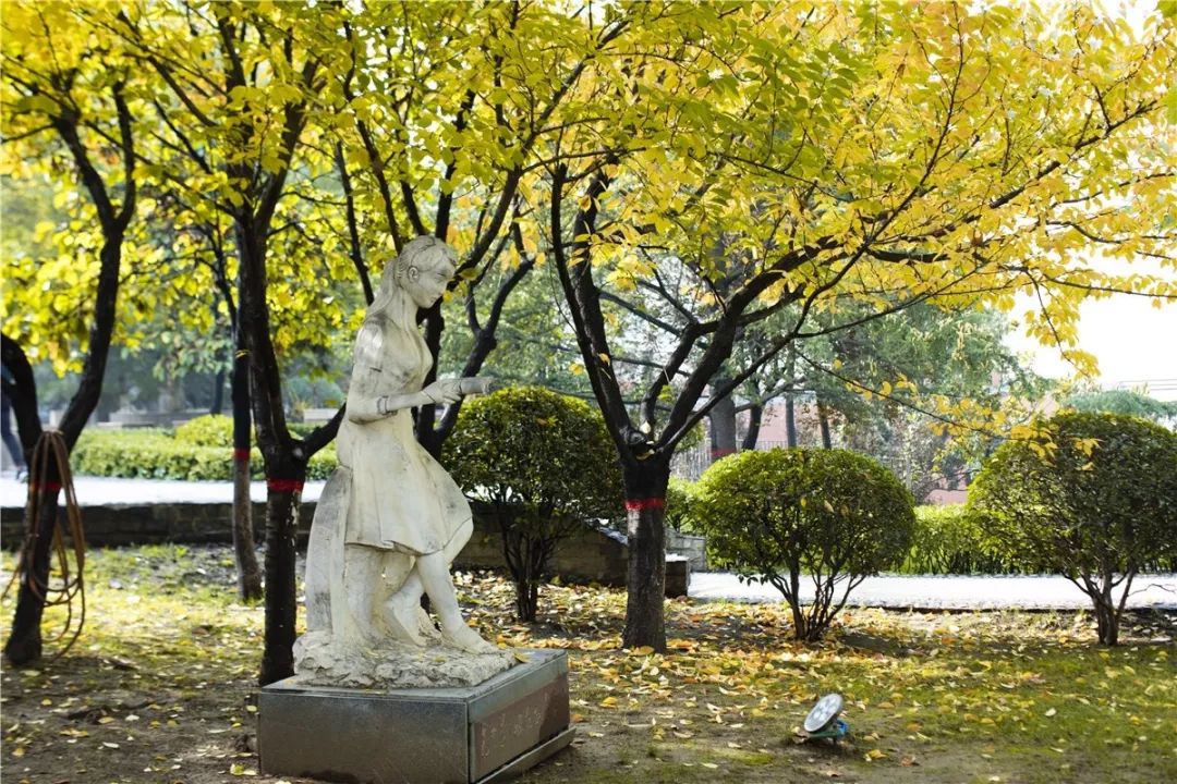 思源学院美景照片,西安思源学院秋景色