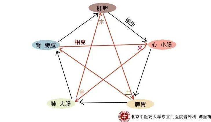 胆囊切除术后的中医治疗,胆囊切除中医辨证