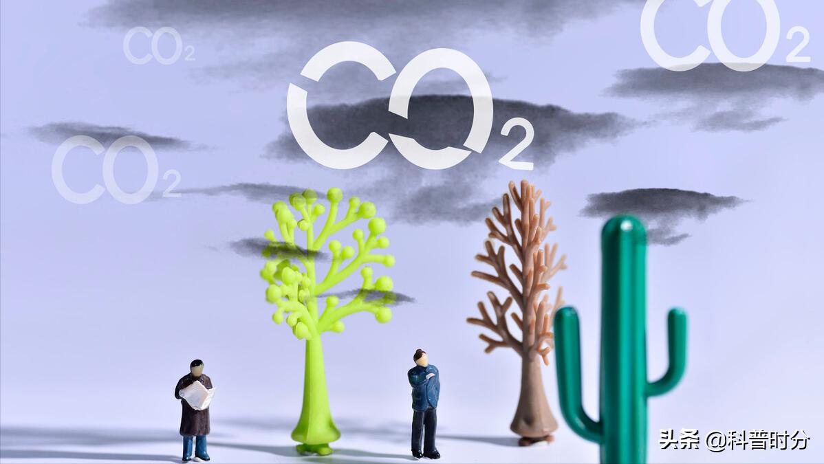 凯力风帆油轮节能效果,中国首艘风帆动力货轮凯力