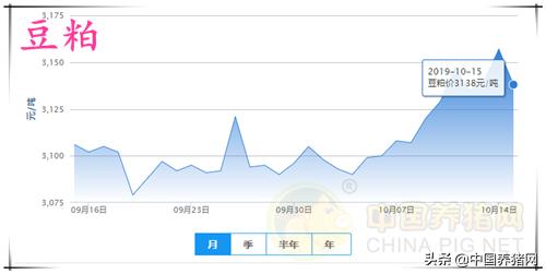 10月16日生猪行情,10月15号生猪行情