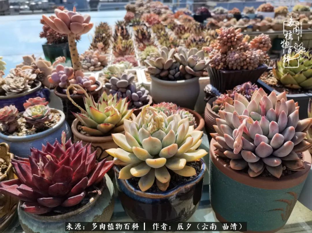 缂辩换鏃栨棊钁宠暏鐢熼,缂辩换鏃栨棊钁宠暏鐢熼鍑哄