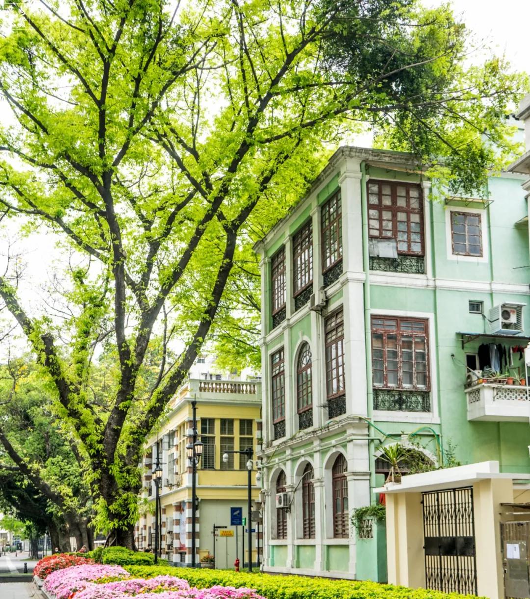 疫情下的麦当劳啥样,疫情过后麦当劳该长啥样