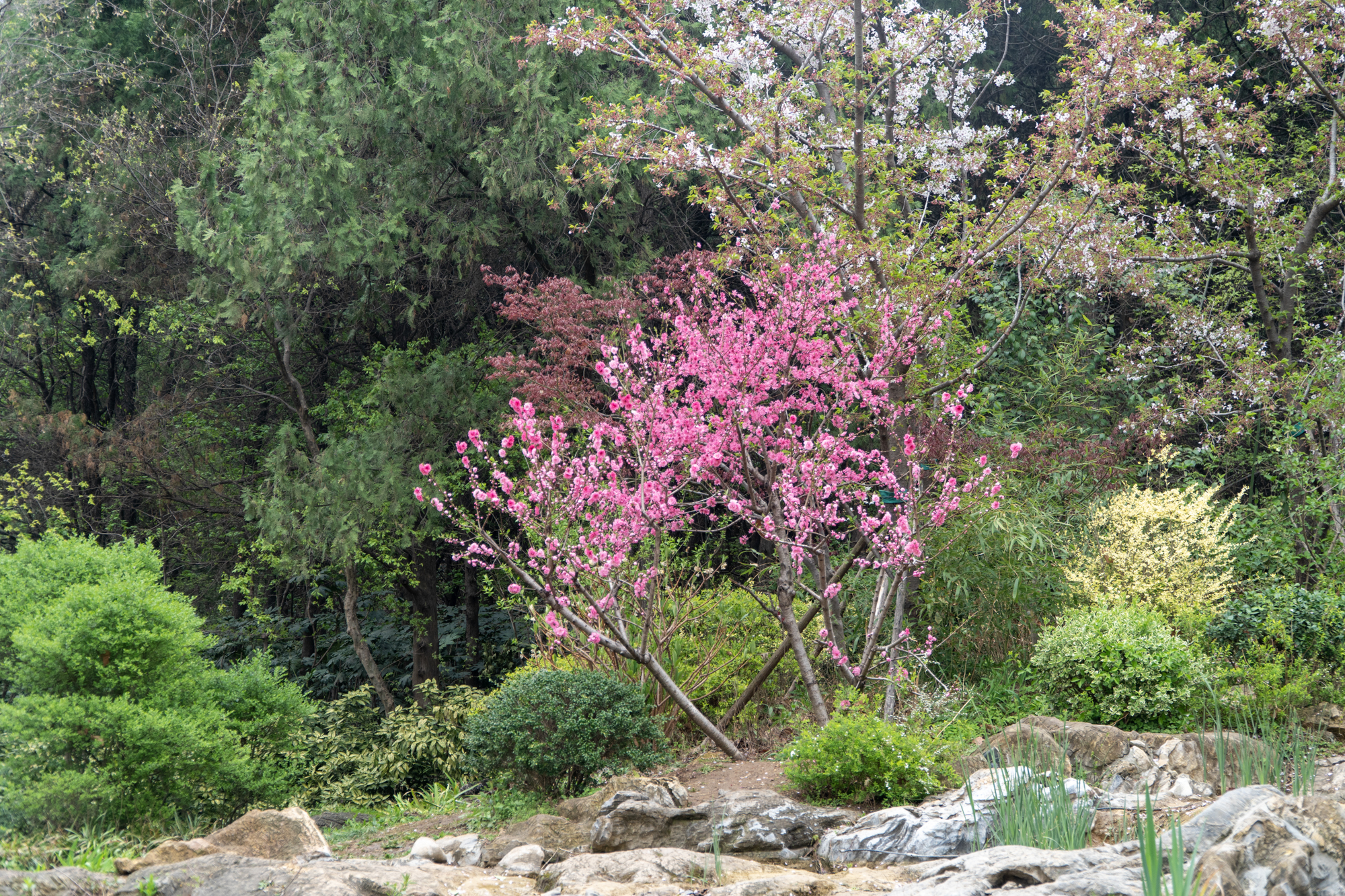徐州周末郊游的好地方,徐州自然风光好去处