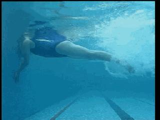 蛙泳腿部翻脚错误纠正,蛙泳在水中腿部翻脚忘记了怎么办