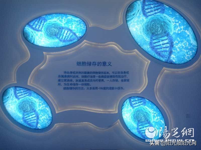 广东中港万海前沿科技有限公司,中港万海生命科学研究院上市了吗