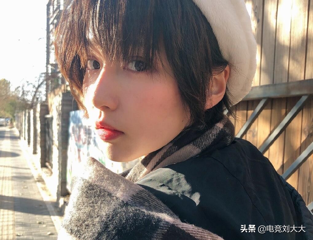 斗鱼主播口嗨诸葛大力,诸葛大力加入斗鱼