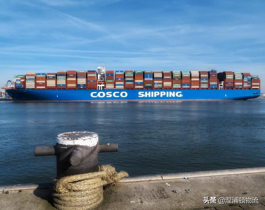 中远海运一个季度挣155亿可能吗,中远海运2024年业绩