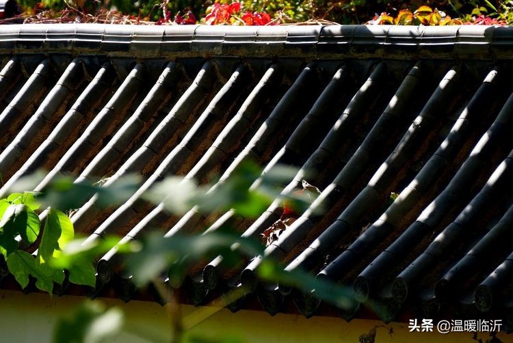 竹泉村景区,最美竹泉村