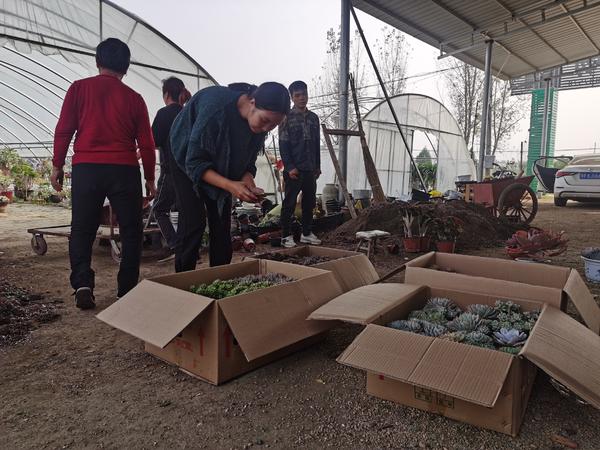 南阳直播电商创业成功,南阳直播电商快速成长