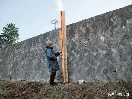 日本杉板制作全过程,烧杉板可以用哪些木材制作