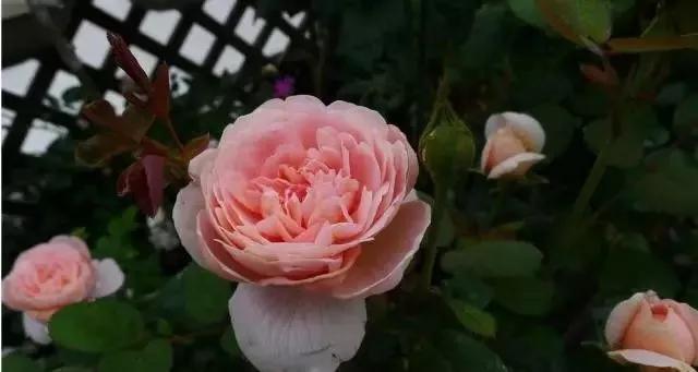 每天学习一点点女性小常识,每天学习一点点科普一下