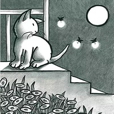 中秋书单共赏一轮明月绘本,与中秋相关的绘本