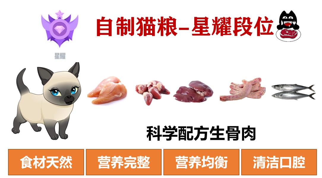自制猫粮为什么不推荐煮而是蒸,自制猫粮有什么要求吗
