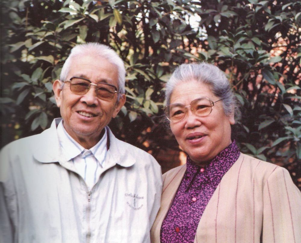 常香玉为啥捐献一架飞机,常香玉最后捐到飞机了没