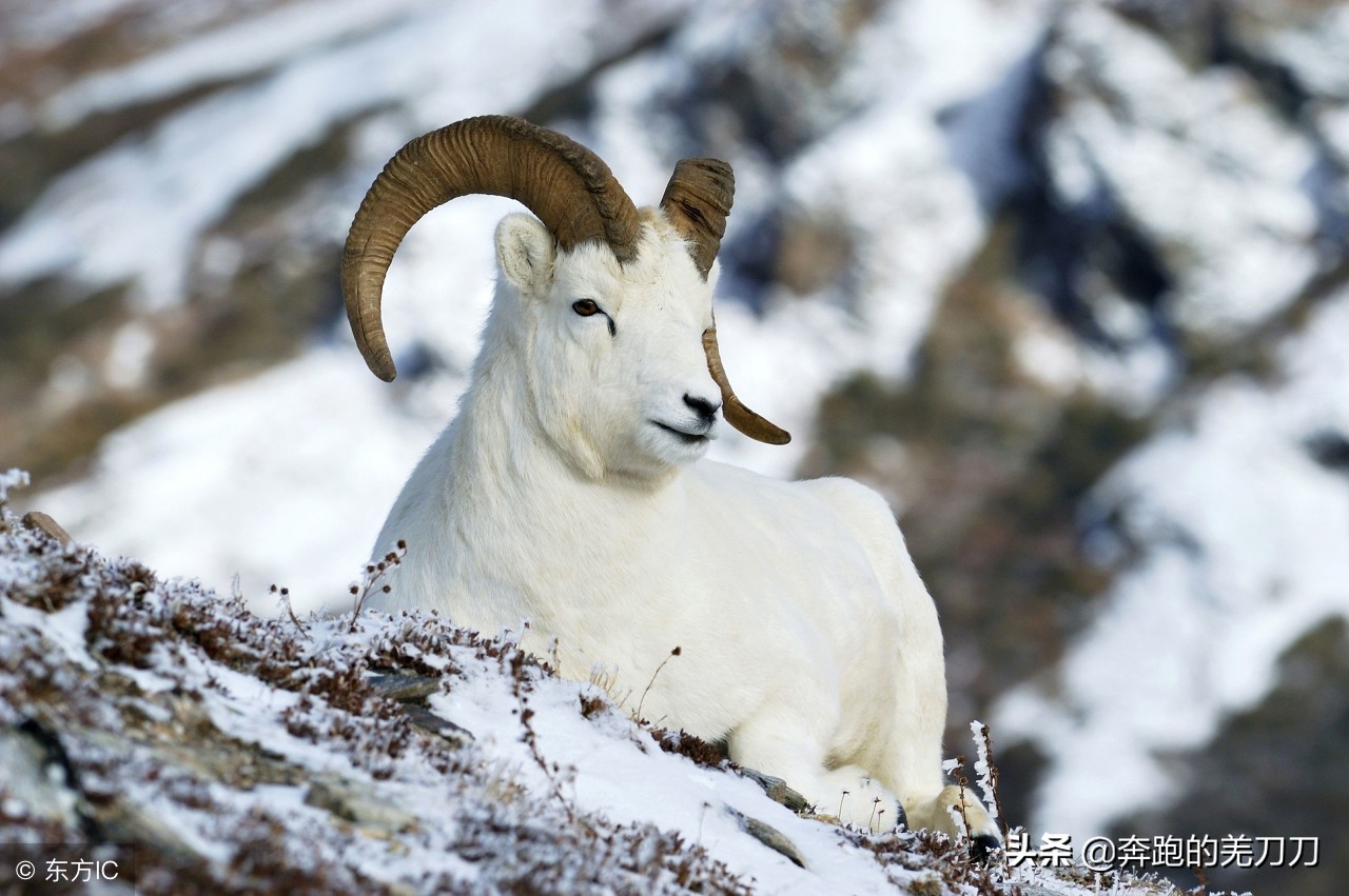 真长见识作文初中,真长见识为题的作文初中