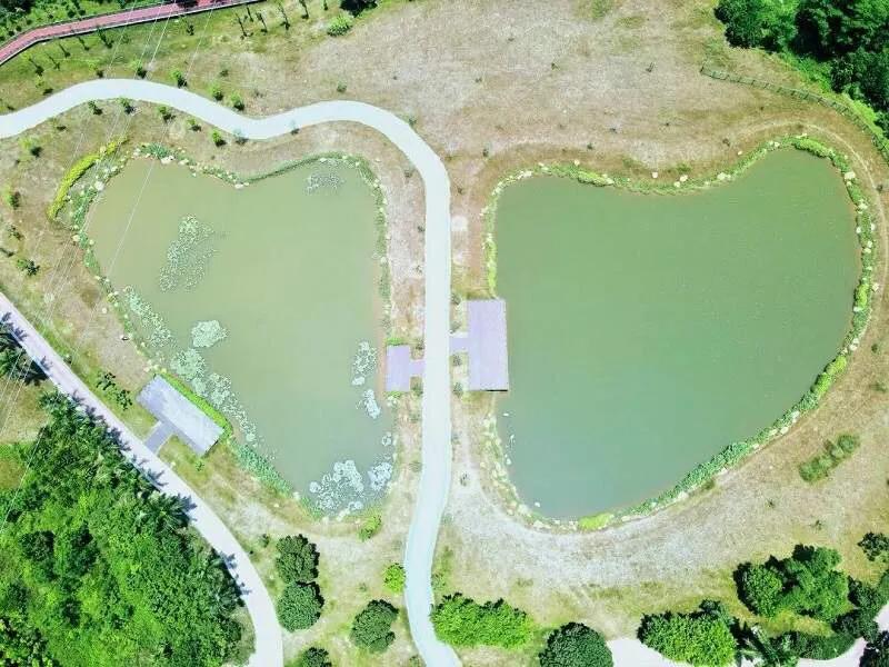 深圳免费公园哪里最好啊,深圳十大免费公园景点大全