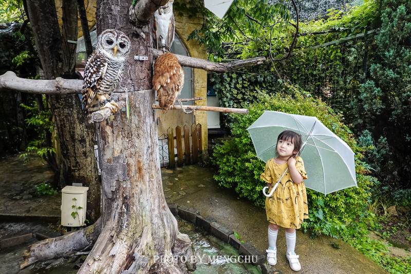 鐚ご楣板悏鍗滃姏骞绘兂,鏃ユ湰鐚挭绔ヨ瘽灏忛晣