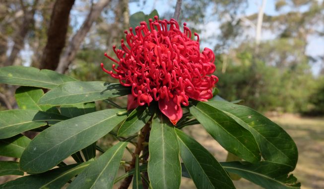 鏈堜寒鏄熷骇鎬庢牱搴斿璐熼潰鎯呯华,鏈堜寒鏄熷骇鎯呯华鐤楁剤