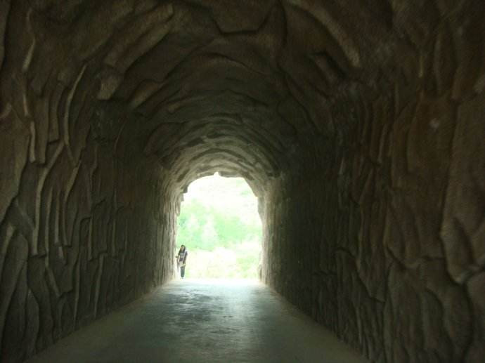 方*论法**｜人最大的智慧，就是认识自己