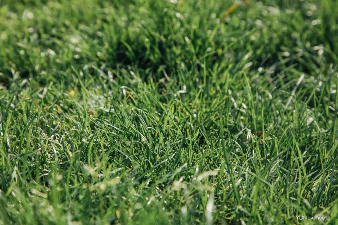 绕来绕去还是绕不开,绕来绕去绕不开锅碗瓢盆