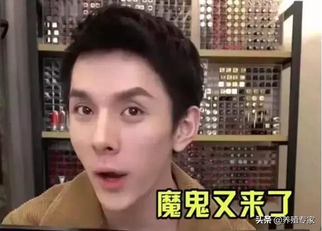 正大李佳琦,正大为什么叫正大光遇