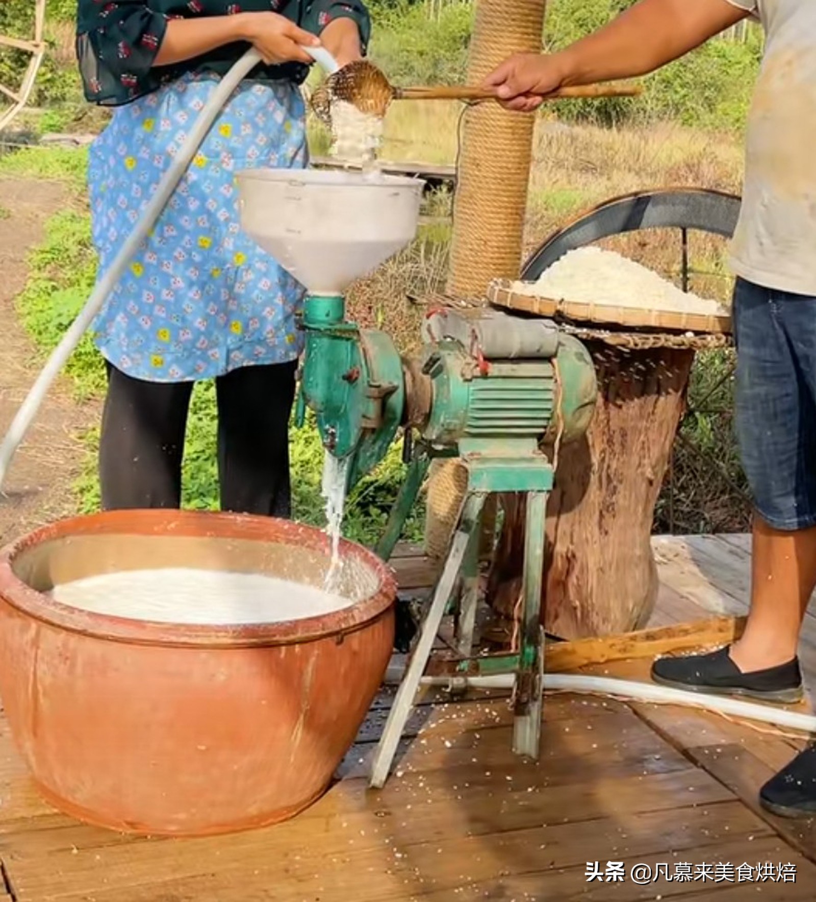 砍回养活了全球6亿人的木薯，做成一道快失传的美食“木薯粉虫”