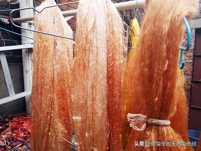 染色植物手工,纯手工植物染布棉布