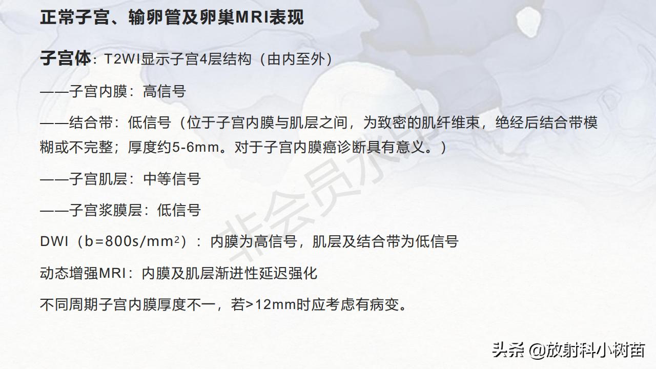 女性盆腔mri解剖图谱,泌尿生殖系统x线解剖