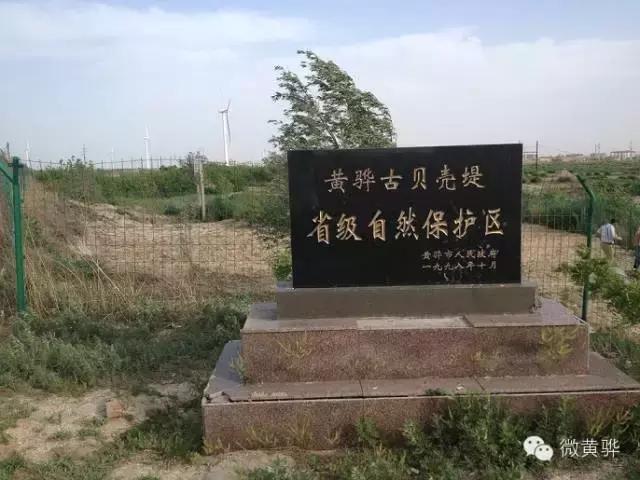 一座美丽的黄骅城市,黄骅的城市