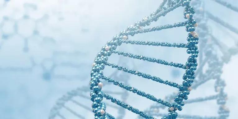 2021落户深圳的利弊,2022年深圳户口的优点和缺点分析