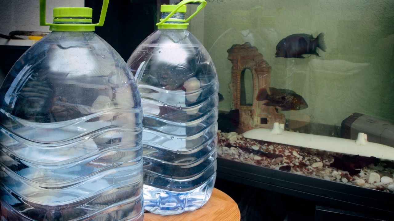 免换水生态鱼缸,如何给鱼缸换水