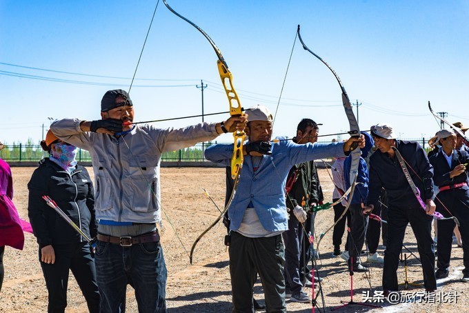 美丽青海，秋收的季节都兰红了，爆汁鲜甜的枸杞有小拇指大小