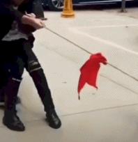 点进本文前，请控制好您的膀胱！（不然容易笑尿）