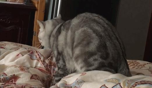 啪啪啪结束后的这个关键动作，女人赶紧做，男人千万别做！