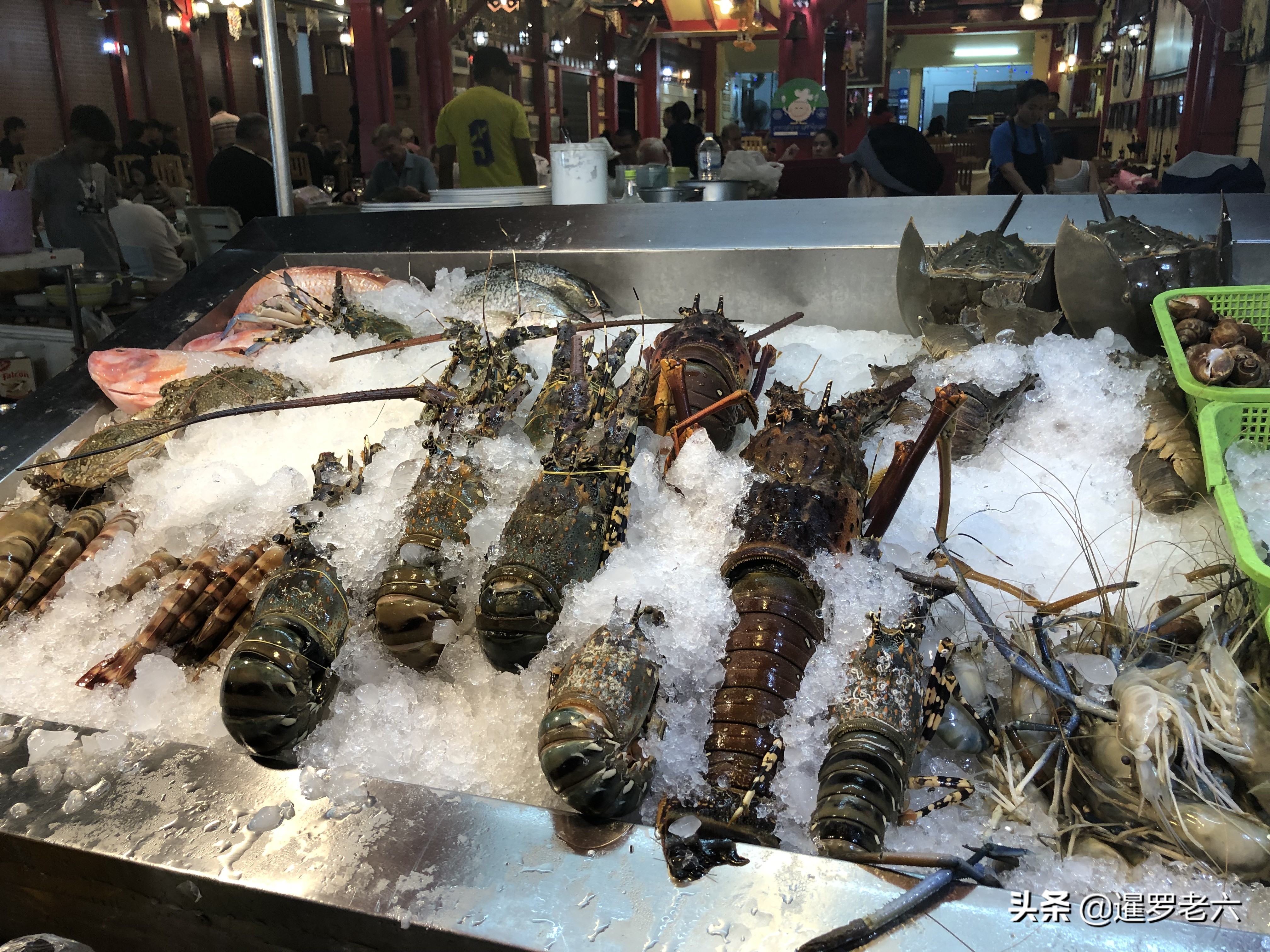 去泰国华欣浮潜,泰国华欣到普吉岛旅游攻略