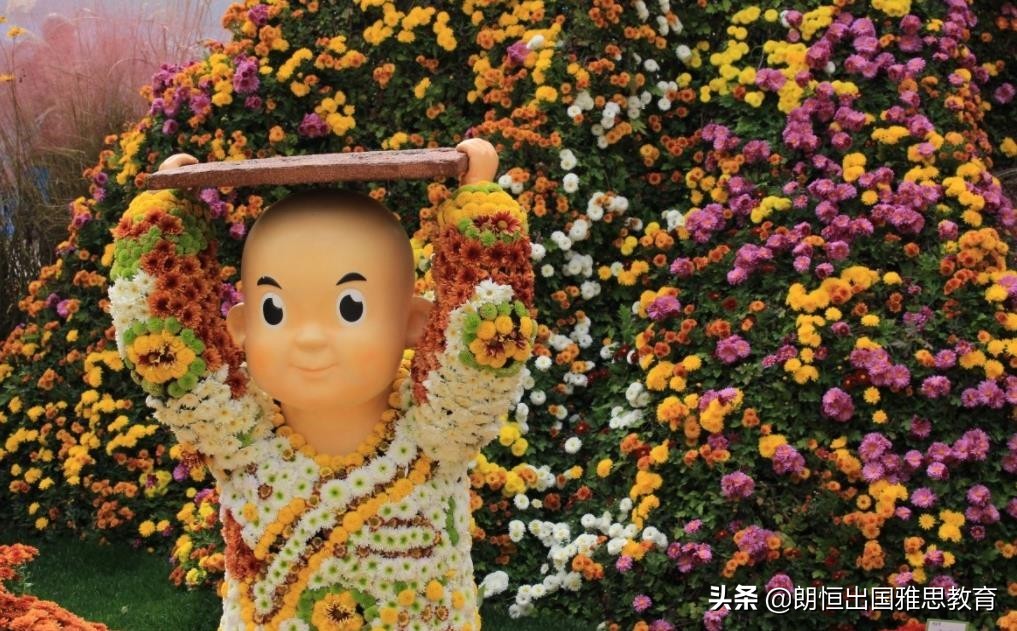 学习日语韩语有前途吗,请问日语和韩语哪个更好学