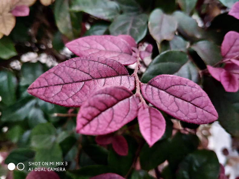 小米mix3试玩视频,小米mix3进入游戏测评