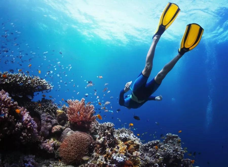 北海涠洲岛火山国家地质公园观赏,游览北海涠洲岛火山口地质公园