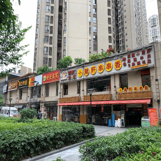 成都高新南区大源西土地拍卖,成都高新区大源天府五街土地拍卖