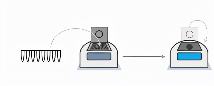 支原体常规检测方法汇总