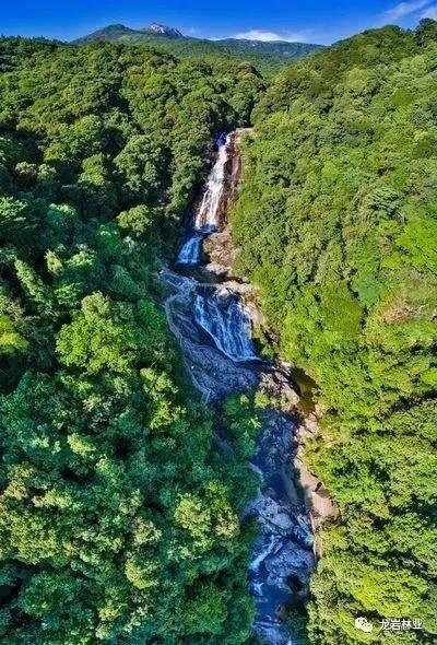 清新优雅空气新鲜是休闲的好地方,龙岩静心的地方