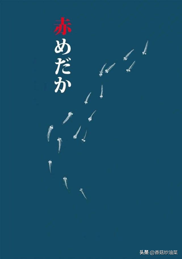 过去十年豆瓣排名前十的国产电影,影史最佳10部电影豆瓣评分最高