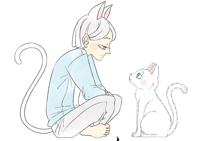 哈士奇无聊挑衅猫,二哈挑衅猫视频